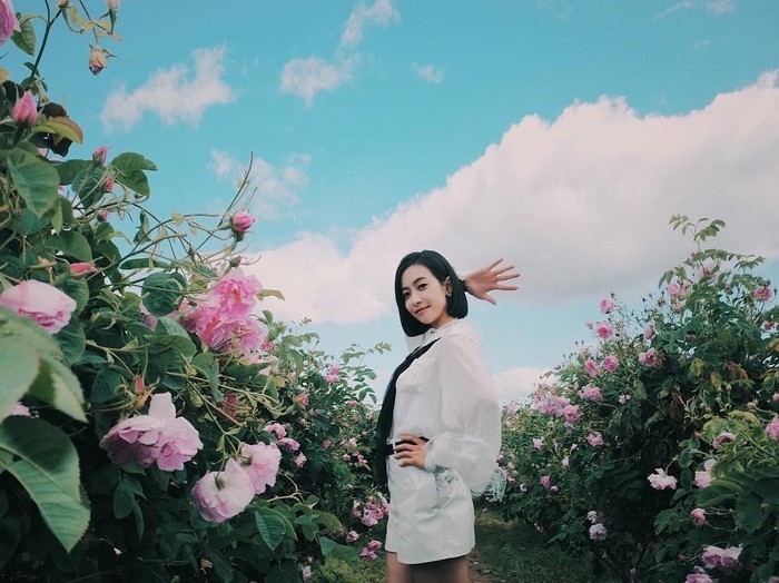 Victoria f(x)