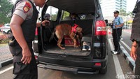 Anjing pelacak juga diturunkan untuk pemeriksaan.