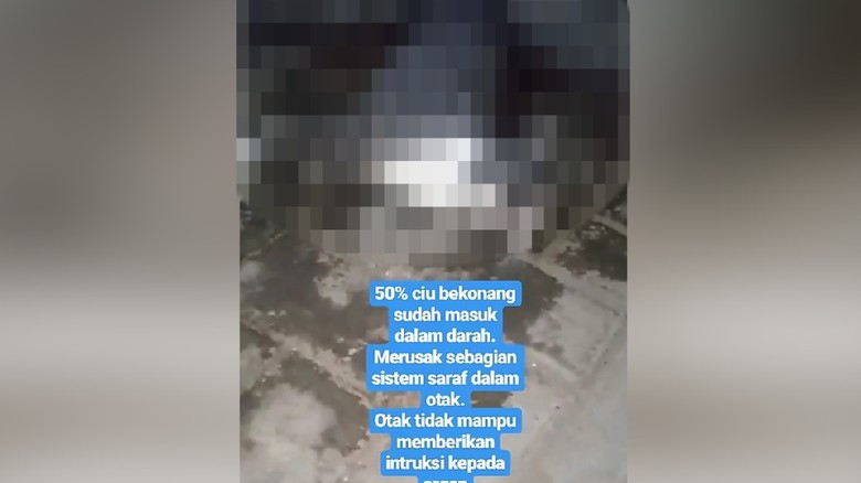 2 Rekan Pengunggah Video Kucing Dicekoki Ciu Dimintai Keterangan Polisi 2 Rekan Pengunggah Video Kucing Dicekoki Ciu Dimintai Keterangan Polisi