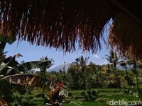 Wisata Lombok Timur Tak Hanya Jual Alam Tapi Aktvitas Wisata Lombok Timur Tak Hanya Jual Alam Tapi Aktvitas