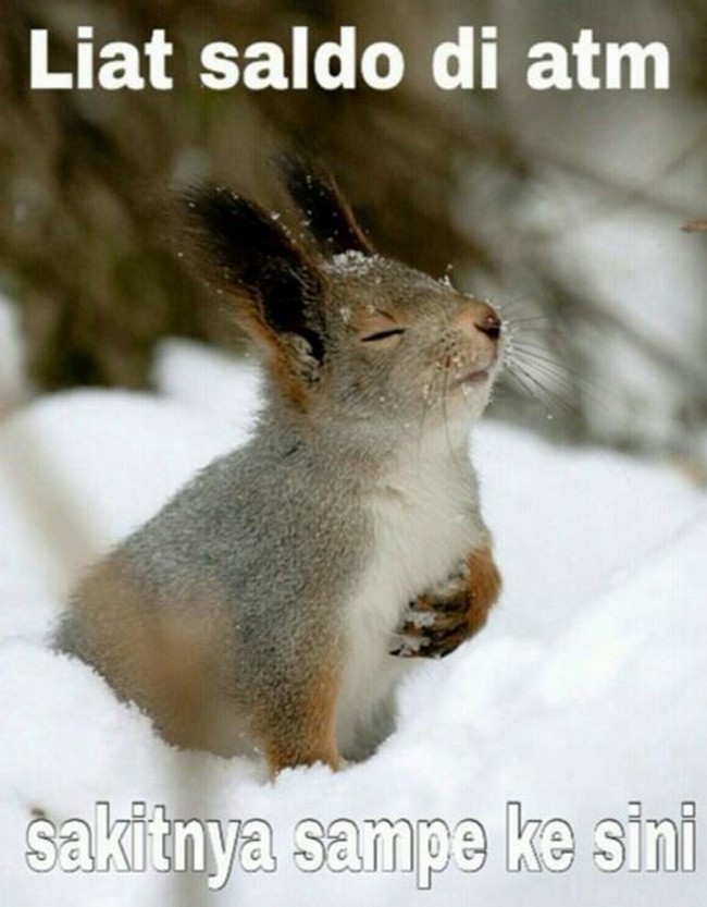 Beginilah ekspresi saat lihat saldo ATM di tanggal tua, sakitnya tuh sampai bikin hati ambyar. Foto: Dok. Memecenter, Facebook Cocoklogi Science