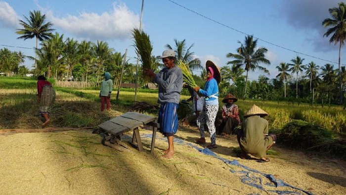 Cara Warga Kembang Kuning Bangkitkan Pariwisata Pascagempa Cara Warga Kembang Kuning Bangkitkan Pariwisata Pascagempa