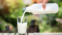 Sering Diminum Sehari-hari, 5 Minuman Ini Tinggi Vitamin B12