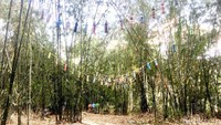 Kawasan hutan bambu ini luasnya kurang lebih 20 hektar. Nuansa khas pedesaan zaman dahulu kental terlihat di sini. (Abdy/detikcom)