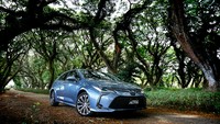 Dari data yang dihimpun Focus2Move, pada kuartal pertama atau Januari-Maret 2021 Toyota Corolla terjual sebanyak 303.808 unit secara global. Penjualan Toyota Corolla dilaporkan naik 12,2%. Foto: Pool (Toyota)