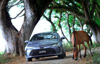 Mobil Baru Sepanjang Tahun 2019, Avanza hingga Esemka
