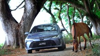 Automatic High Beam. Fitur ini akan mendeteksi apakah ada mobil di depan atau dari arah berlawanan ketika berjalan di malam hari yang gelap. Mobil akan menyalakan lampu jauh atau high beam untuk meningkatkan jarak dan daya pandang pengemudi. Tidak lupa fitur 7 airbags juga diselipkan untuk memberikan keamanan lebih untuk pengendara dan penumpang di dalamnya. Pool/Toyota.