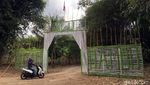 Potret Hutan Bambu Instagramable di Sulawesi