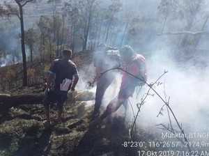 Hutan di Gunung Rinjani Terbakar, Pendaki Diminta Waspada