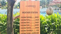 Kelapa penanda cuaca. Kalau kelapa bergerak-gerak artinya ada angin. Kalau tidak terlihat, bisa jadi ada kabut. Kalau hilang, tampaknya ada badai! (Foto: via Boredpanda)