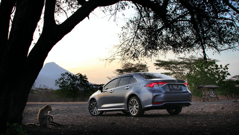 Mobil sedan Toyota Corolla Altis Foto: Pool (Toyota) Mobil sedan Toyota Corolla Altis Foto: Pool (Toyota)