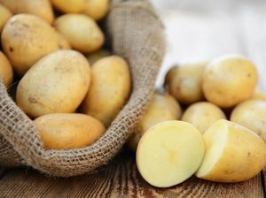 Selain Karbohidrat, Ini Kandungan Nutrisi Kentang yang Menyehatkan