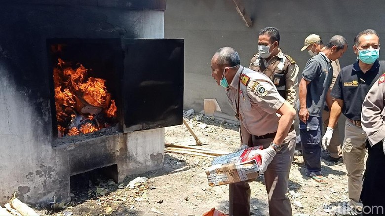 59 Paket Benih dan Tanaman Ilegal Asal 16 Negara Dimusnahkan 59 Paket Benih dan Tanaman Ilegal Asal 16 Negara Dimusnahkan