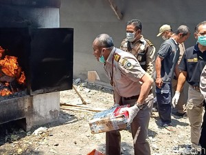 59 Paket Benih dan Tanaman Ilegal Asal 16 Negara Dimusnahkan