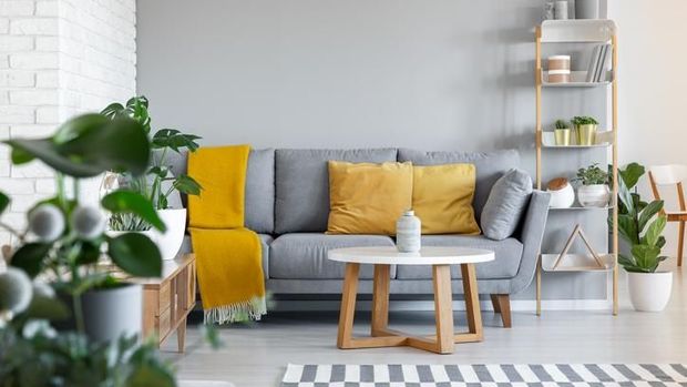 Small open space flat interior with beige sofa with cushion, macrame on the wall, rack with candles and plants and bed with pillows