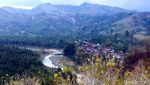 Potret Hutan Bambu Instagramable di Sulawesi