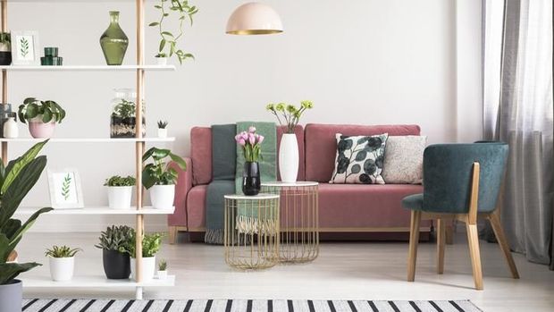 Small open space flat interior with beige sofa with cushion, macrame on the wall, rack with candles and plants and bed with pillows