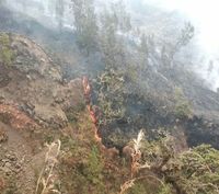 Hutan di Gunung Rinjani Terbakar, Pendaki Diminta Waspada