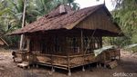 Potret Hutan Bambu Instagramable di Sulawesi