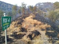 Hutan di Gunung Rinjani Terbakar, Pendaki Diminta Waspada