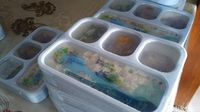  Lunch box serta tumbler untuk para peserta tour (Randy/detikcom)