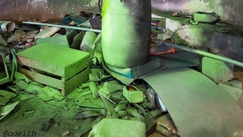 Karya terbarunya kini lebih banyak menggambar hewan-hewan berukurang raksasa. (Foto: instagram/odeith)