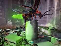 Keren! Seniman Sulap Bangunan Tua dengan Seni Grafiti 3D