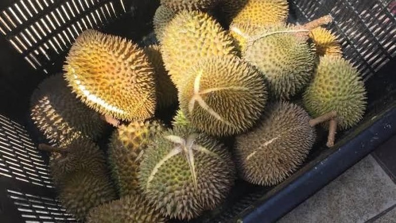 Curi 12 Buah Durian, Pria Singapura Dibui dan Didenda Rp 12 Juta Curi 12 Buah Durian, Pria Singapura Dibui dan Didenda Rp 12 Juta