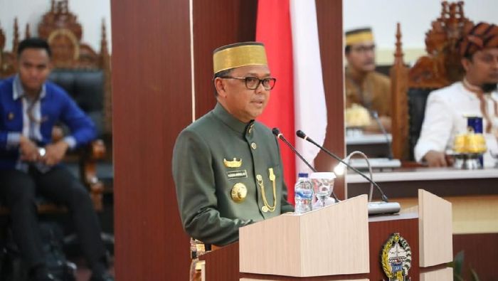 Gubernur Sulawesi Selatan Nurdin Abdullah/Foto: Pemprov Sulawesi Selatan Gubernur Sulawesi Selatan Nurdin Abdullah/Foto: Pemprov Sulawesi Selatan