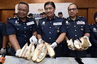 Durian Isi Heroin Senilai Rp 3,2 M Gegerkan Bandara Subang