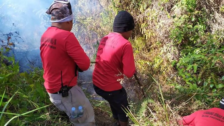 Kebakaran Melanda Hutan di Lereng Gunung Sumbing Kebakaran Melanda Hutan di Lereng Gunung Sumbing