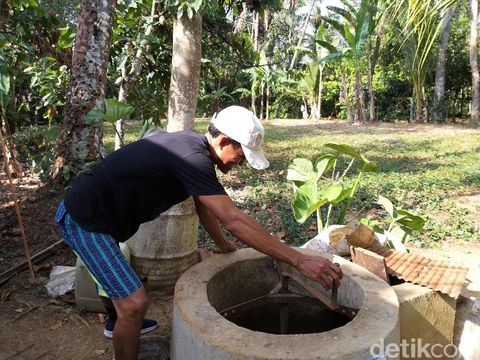 Pengolahan biogas dari kotoran babi.