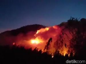 Api Masih Menyala, Akibatkan Separuh Gunung Ranti Terbakar