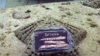 Neptune Memorial Reef, perairan Miami di Florida, Amerika Serikat. Pemakaman ini boleh dibilang anti mainstream karena letaknya di bawah laut. Dengan desain ala Atlantis, pemakaman ini menggunakan sejumlah terumbu karang sebagai monumen peringatan. Jenazah yang dimakamkan akan melewati proses kremasi atau pembakaran lalu abunya akan dijadikan bagian terumbu karang (Neptune Memorial Reef)