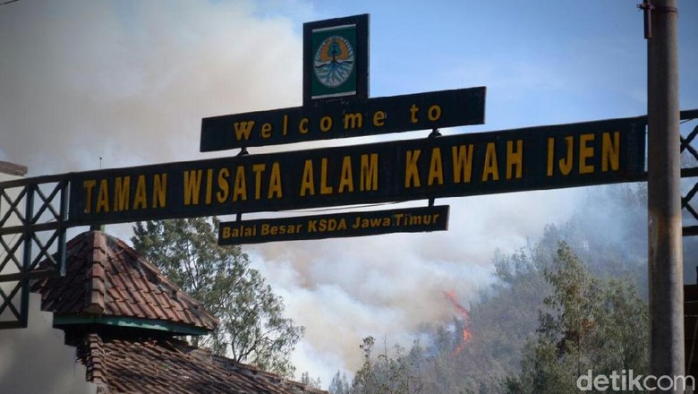 Kebakaran Lalap Enam Gunung di Jatim Kebakaran Lalap Enam Gunung di Jatim
