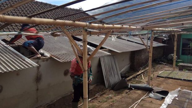 Angin Kencang Landa Malang Raya, Banyak Pohon Tumbang dan Baliho Roboh