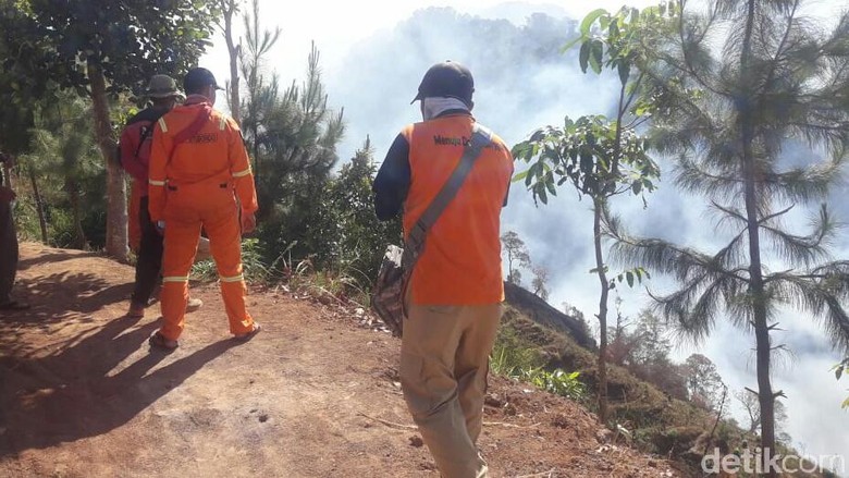 Ada Dugaan Faktor Kesengajaan dalam Kebakaran Gunung Argopuro Ada Dugaan Faktor Kesengajaan dalam Kebakaran Gunung Argopuro