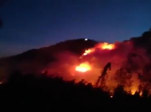 Pendaki Kirim Sinyal SOS, Petugas Cari Akses di Gn Ranti yang Terbakar