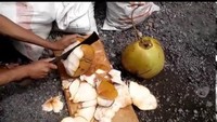Memiliki tempurung, mengupas buah kelap harus menggunakan alat tajam seperti golok. Buah kelapa tak akan terbuka jika dibuka hanya menggunakan tangan kosong. Foto: Istimewa