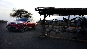 Toyota C-HR Hybrid Tawarkan Ketangguhan Mobil Ramah Lingkungan