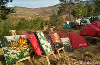 Cara TN Gunung Ciremai Lestarikan Bunga Abadi
