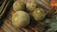 Kamu tahu buah kawista? buah tersebut memiliki citra rasa yang manis itu sudah hampir punah. Cara mengupas kawista terbilang unik, karena teksturnya yang keras mengharuskan buah ini harus dibanting terlebih dahulu agar kulitnya dapat terbuka. Foto: Istimewa