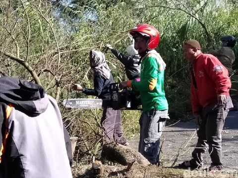 Begini Dampak Angin Kencang Campur Debu di Dataran Tinggi Dieng
