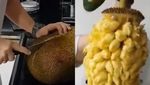 Nia Ramadhani, Selain Salak, Ini Cara Mengupas 13 Buah Indonesia