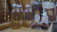 Buat Minyak, Bule-bule Parut Kelapa sampai Masak di Tungku Kayu Bakar