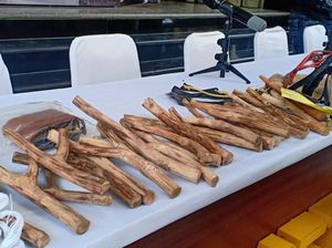 Rencanakan Gagalkan Pelantikan, Tersangka Siapkan Ketapel-Lepas Monyet di DPR
