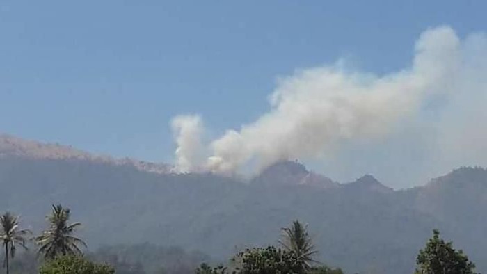 Kebakaran hutan masih terjadi di jalur pendakian Gunung Rinjani. Balai Taman Nasional Gunung Rinjani (BTNGR) memastikan semua pendaki dalam keadaan selamat.