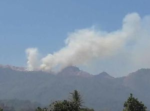 Kabar Buruk! Hutan Taman Nasional Gunung Rinjani Kebakaran