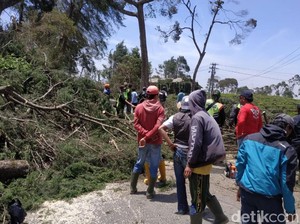 Angin Kencang Pangalengan: 1.200 Rumah Rusak dan 700 Pohon Tumbang