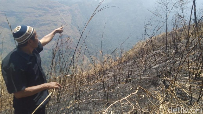 65 Hektare Hutan di Gunung Anjasmoro Jombang Terbakar 65 Hektare Hutan di Gunung Anjasmoro Jombang Terbakar
